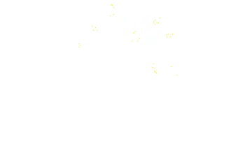 logo cc center for healing